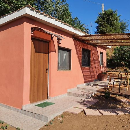Azienda Agricola Sinisi Cerveteri Camera foto